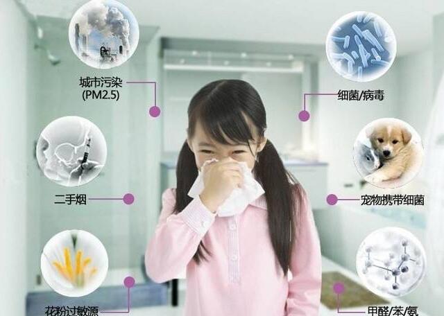 上海環境檢測咨詢服務有限公司 24915.jpg