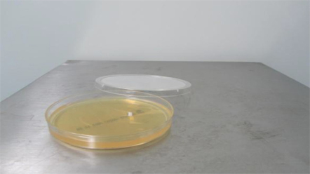 上海環境檢測咨詢服務有限公司