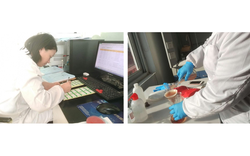 上海公共場所衛生檢測服務機構