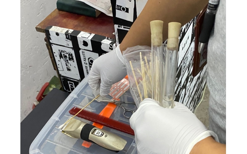 公共場所衛生檢測或者評價報告